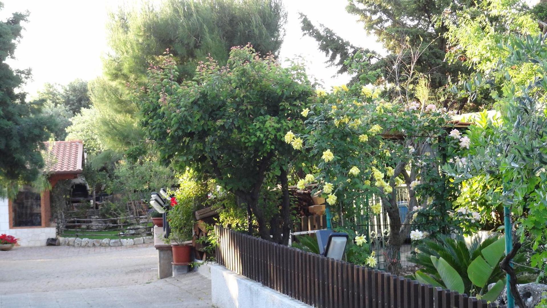 Bed And Breakfast La Casetta Монополи Экстерьер фото